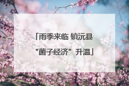 雨季来临 镇沅县“菌子经济”升温
