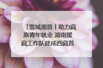 雪域湘音丨助力藏族青年就业 湖南援藏工作队建成西藏首个清洁能源装备园