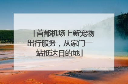 首都机场上新宠物出行服务，从家门一站抵达目的地