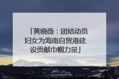 黄晓薇：团结动员妇女为海南自贸港建设贡献巾帼力量