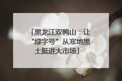 黑龙江双鸭山：让“绿字号”从寒地黑土挺进大市场