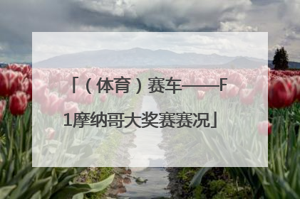 （体育）赛车——F1摩纳哥大奖赛赛况