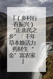 （乡村行·看振兴）“正北芪之乡”：千年草本焕活力 药材生“金”富农家