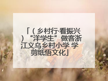 （乡村行·看振兴）“洋学生”做客浙江义乌乡村小学 学剪纸悟文化