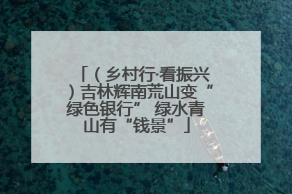 （乡村行·看振兴）吉林辉南荒山变“绿色银行” 绿水青山有“钱景”