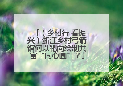 （乡村行·看振兴）浙江乡村弓箭馆何以靶向绘制共富“同心圆”？