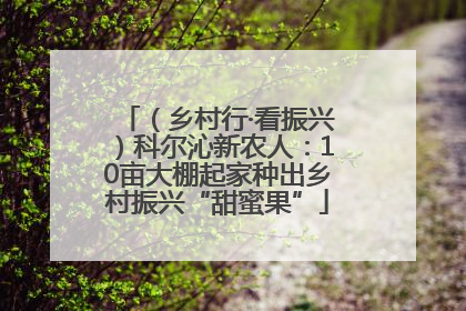 （乡村行·看振兴）科尔沁新农人：10亩大棚起家种出乡村振兴“甜蜜果”