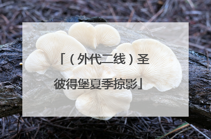 （外代二线）圣彼得堡夏季掠影