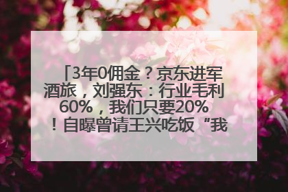 3年0佣金？京东进军酒旅，刘强东：行业毛利60%，我们只要20%！自曝曾请王兴吃饭“我要做外卖了”