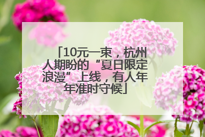 10元一束，杭州人期盼的“夏日限定浪漫”上线，有人年年准时守候