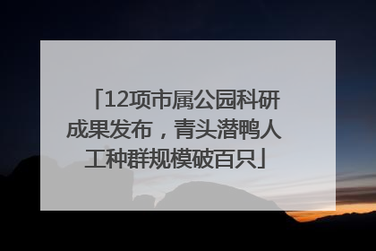 12项市属公园科研成果发布，青头潜鸭人工种群规模破百只