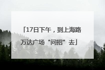 17日下午，到上海路万达广场“问招”去