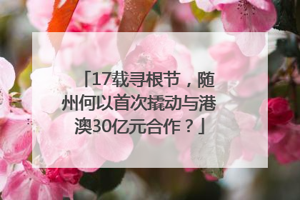 17载寻根节，随州何以首次撬动与港澳30亿元合作？