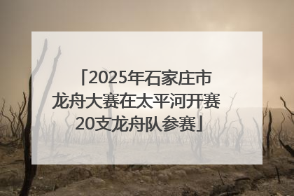 2025年石家庄市龙舟大赛在太平河开赛 20支龙舟队参赛
