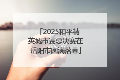 2025和平精英城市赛总决赛在岳阳市圆满落幕