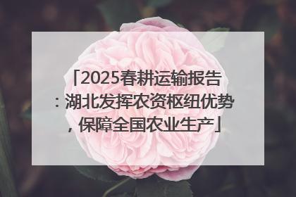 2025春耕运输报告：湖北发挥农资枢纽优势，保障全国农业生产