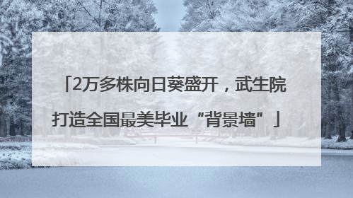 2万多株向日葵盛开，武生院打造全国最美毕业“背景墙”