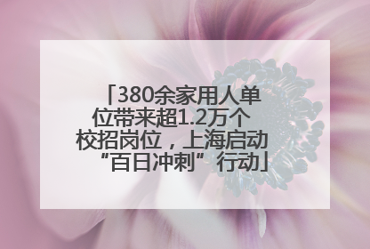 380余家用人单位带来超1.2万个校招岗位，上海启动“百日冲刺”行动