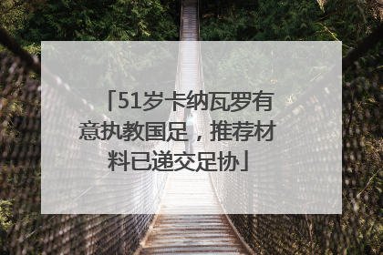 51岁卡纳瓦罗有意执教国足，推荐材料已递交足协
