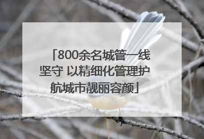 800余名城管一线坚守 以精细化管理护航城市靓丽容颜