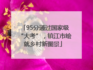 95分通过国家级“大考”，镇江市绘就乡村新图景