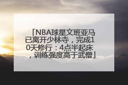 NBA球星文班亚马已离开少林寺，完成10天修行：4点半起床，训练强度高于武僧