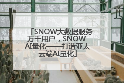 SNOW大数据服务万千用户，SNOW AI量化——打造亚太云端AI量化