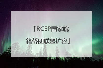 RCEP国家皖籍侨团联盟扩容